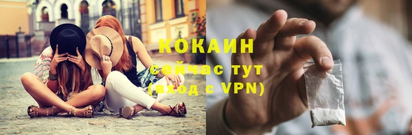 шишки Медногорск
