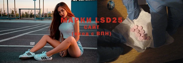 шишки Медногорск