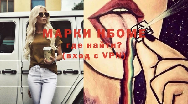 шишки Медногорск