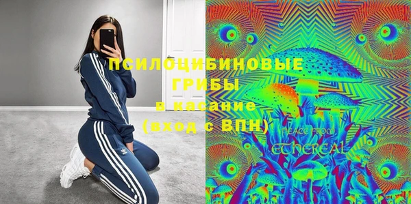 шишки Медногорск