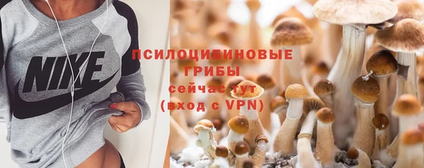 шишки Медногорск