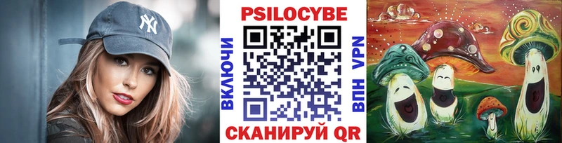 Псилоцибиновые грибы Psilocybe  Михайловка 