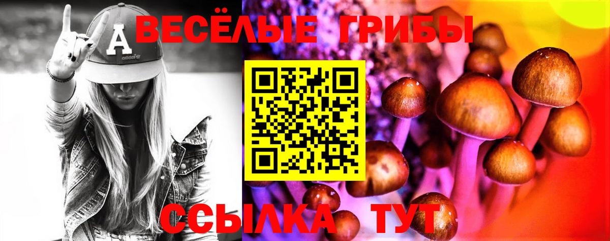 Галлюциногенные грибы Psilocybe  Вход с VPN  Михайловка 